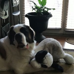 Meet your Posher, Donna